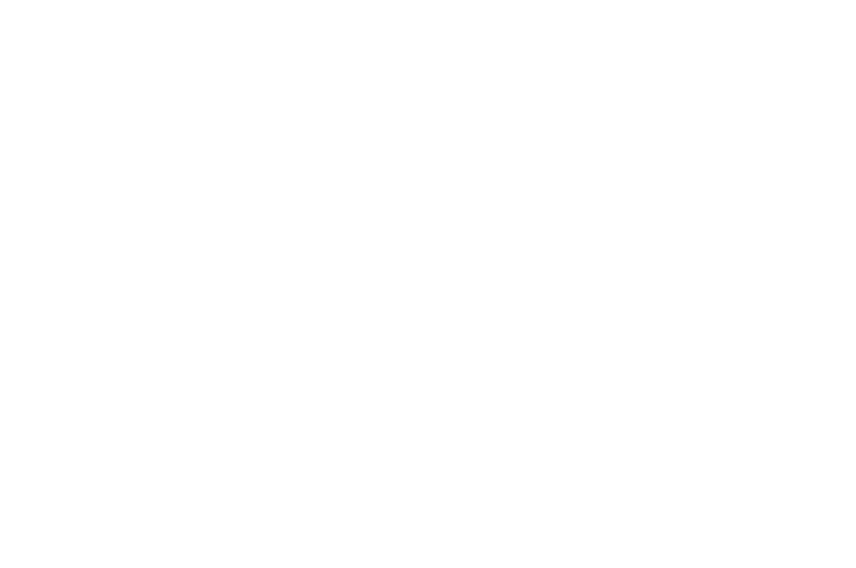 Audience Choice Award Winner Bulent Ozlarusso