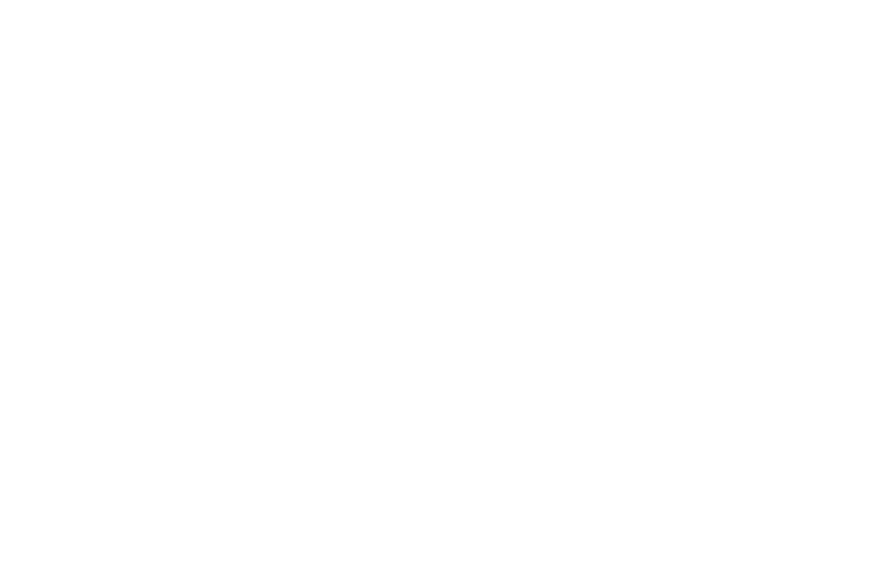 Award of Excellence Winner Bulent Ozlarusso