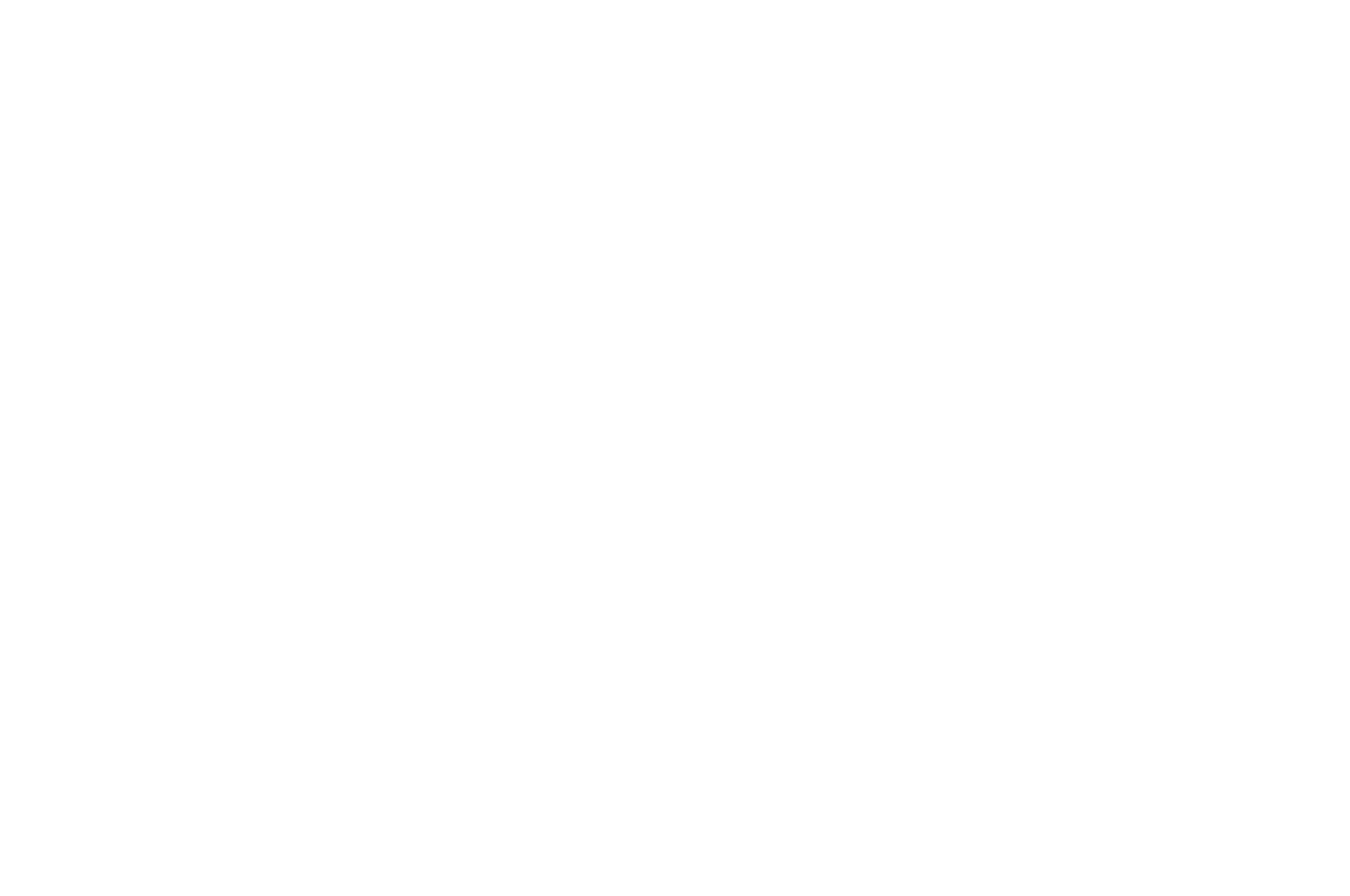 Luciole d'Or Award Winner Bulent Ozlarusso Cannes World Film Festival